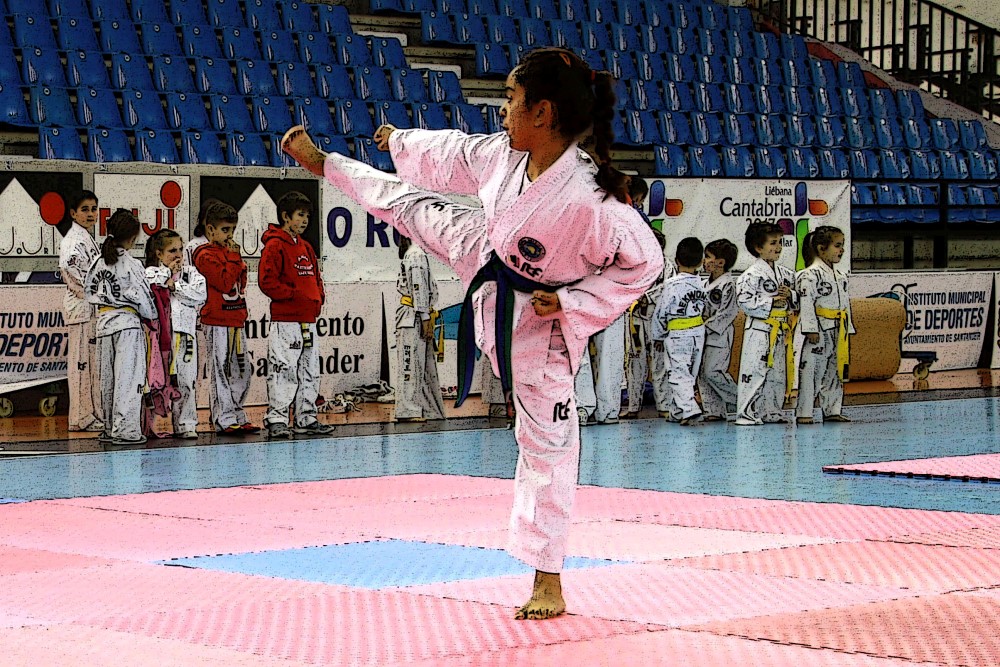 Taekwondo Dic 2016 (112).jpg